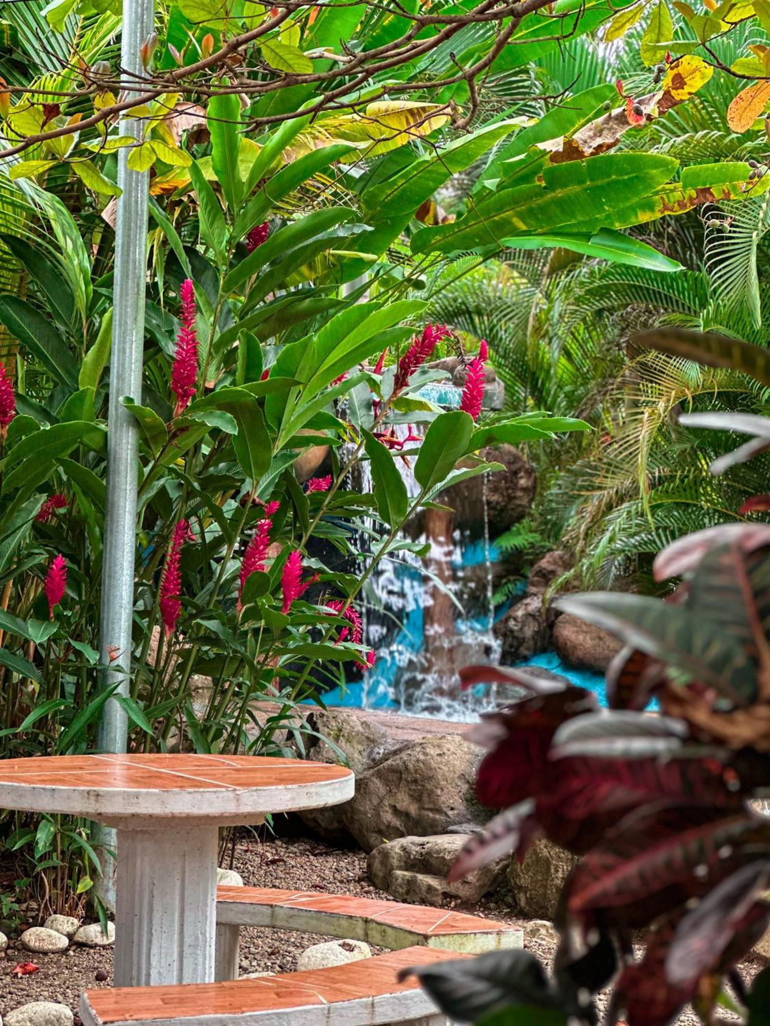 Cabanas Rio Escondido En ラ・フォルトゥナ エクステリア 写真