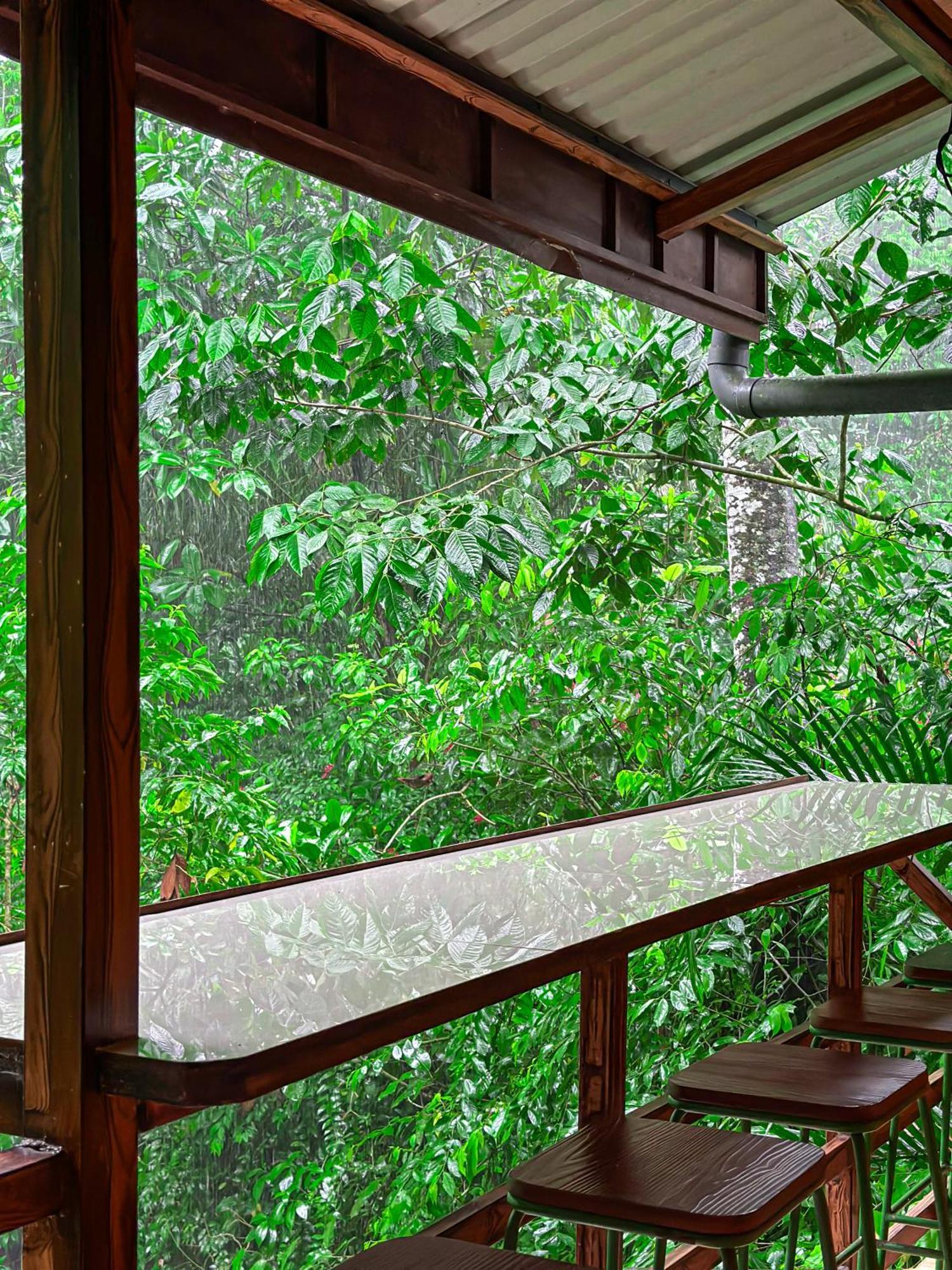 Cabanas Rio Escondido En ラ・フォルトゥナ エクステリア 写真
