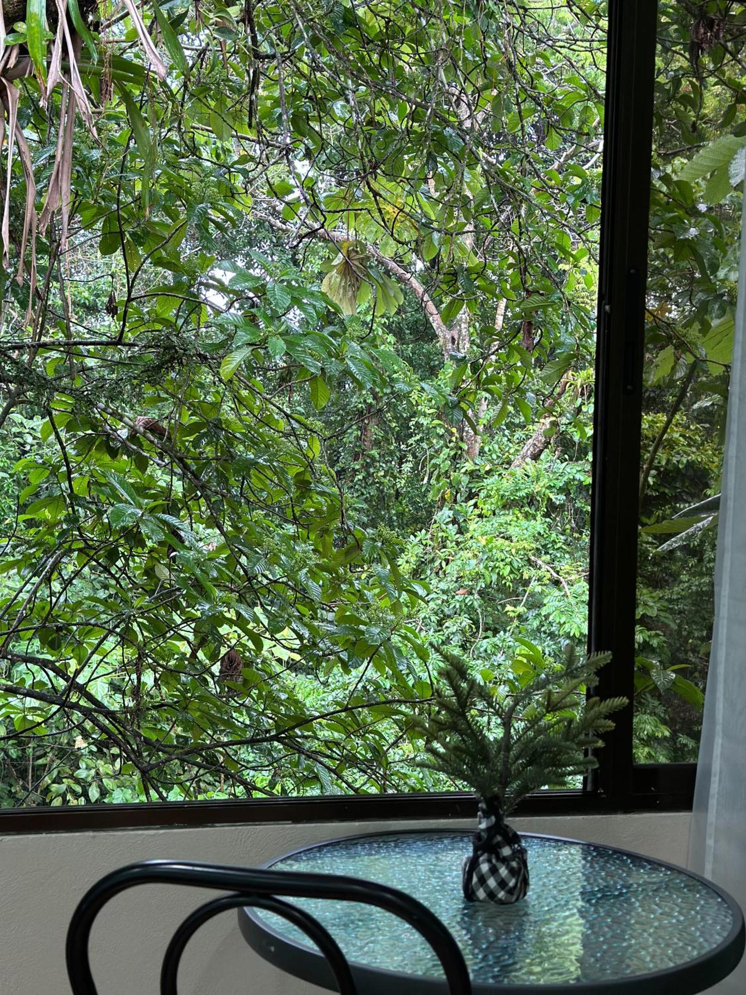 Cabanas Rio Escondido En ラ・フォルトゥナ エクステリア 写真