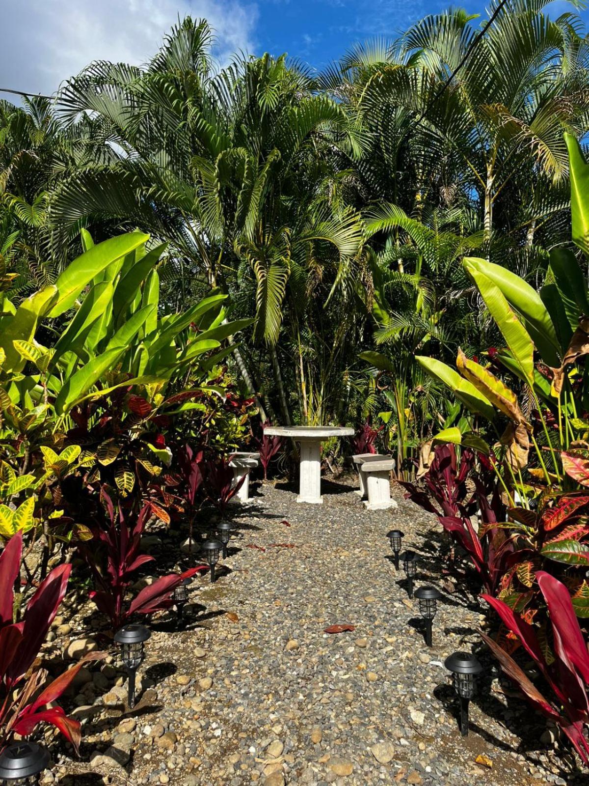 Cabanas Rio Escondido En ラ・フォルトゥナ エクステリア 写真